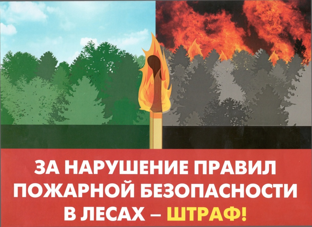 Ответственность за нарушение правил пожарной безопасности в лесах.